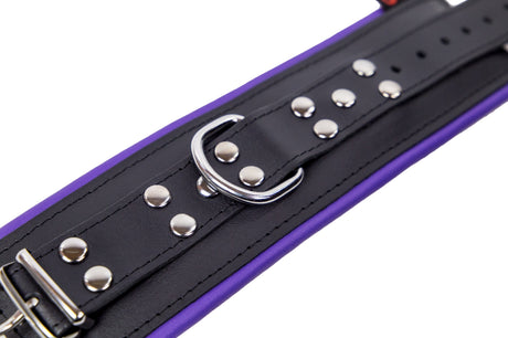 Handschellen gepolstert