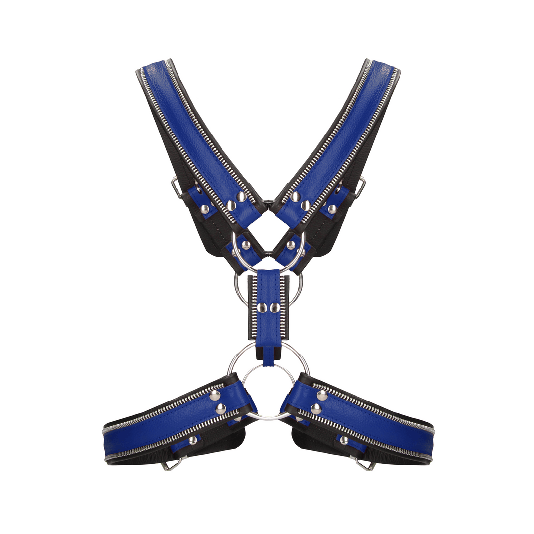 Harness Ouch aus echtem Leder im Streifen-Design in drei Ausführungen – Ansicht 2