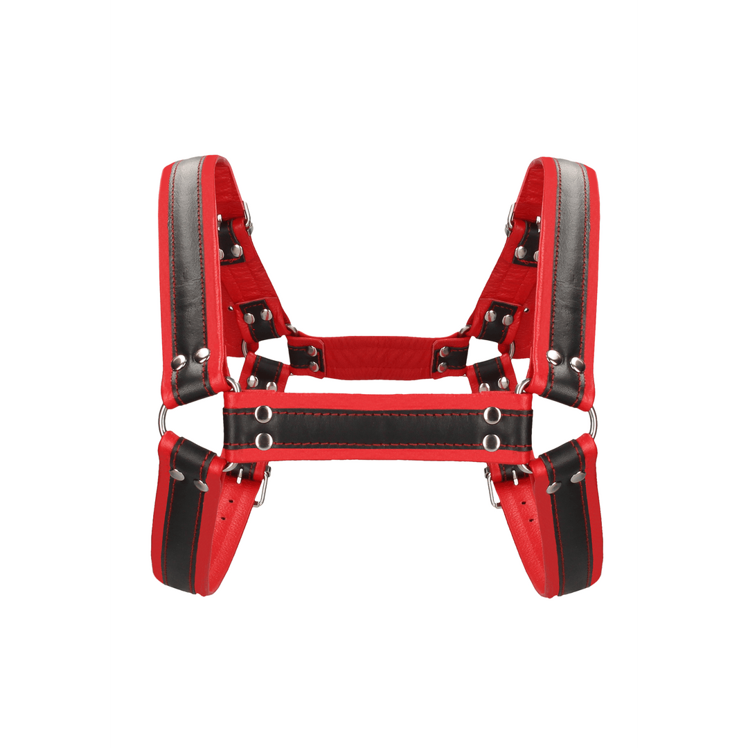 Harness Ouch Bulldog aus verbundenem Leder mit Schnallen L/XL Rot – Ansicht 4