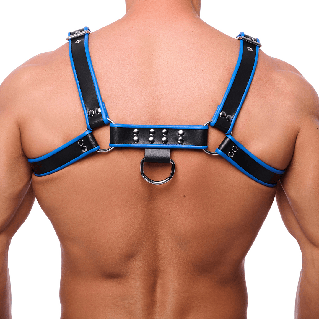 Harness Premium aus Leder Schwarz und Blau L/XL – Ansicht 2