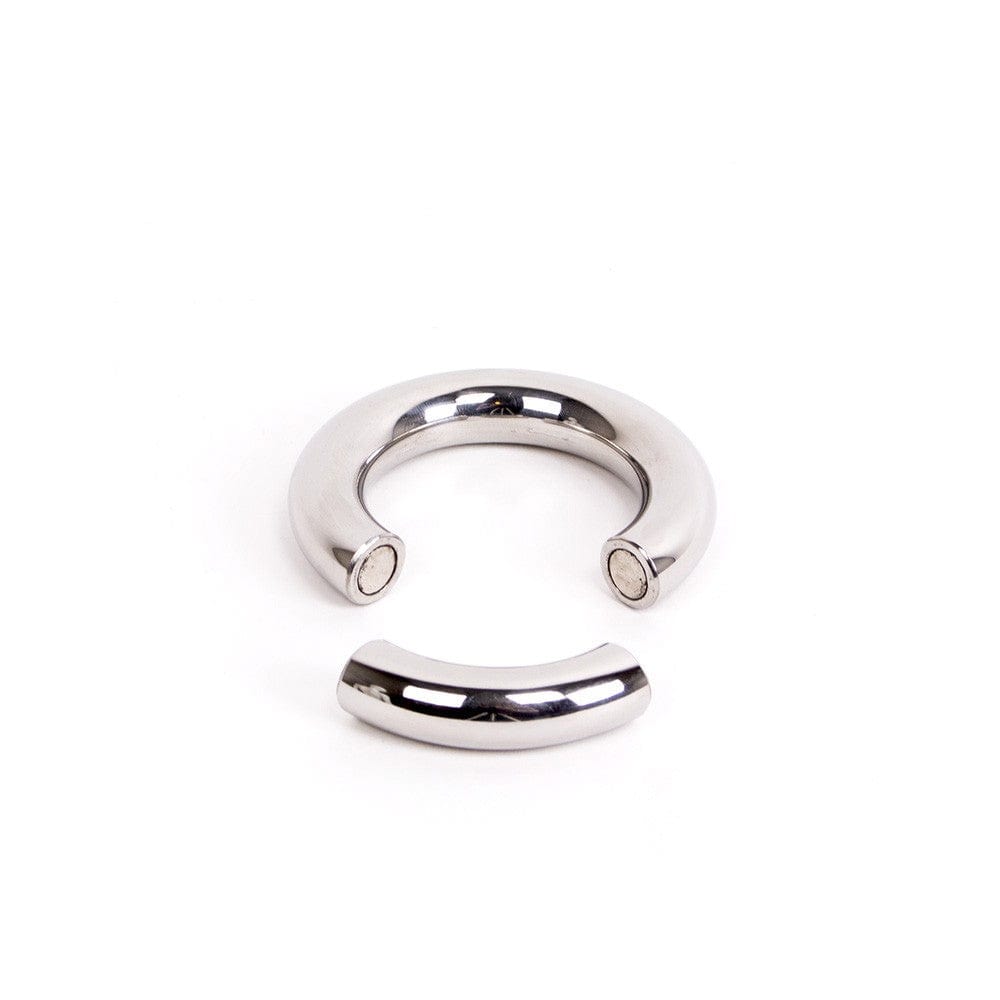 Hodenring Magnet