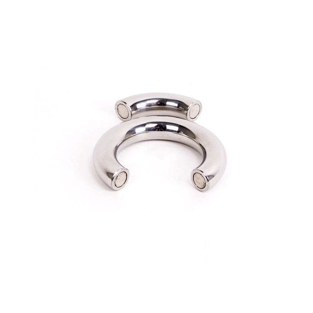 Hodenring Magnet