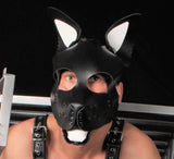 Hundemaske Einsatz
