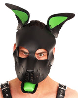Hundemaske Einsatz