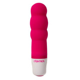 Control - Velvet Secret Mini-Stimulator