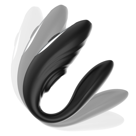 Vibrator Paar mit Pulsierender und Vibrierender Fernbedienung.3