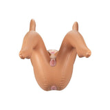Calexotics - Back Door Babe-Liebespuppe