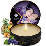 Shunga - Geheime Exotische Geisha-Früchte