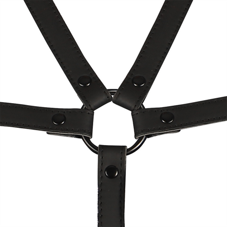 Fesselset Verstellbarer Gurt für Torso und Arme.5