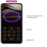 Pretty Love - Catalina Vibrator App Fernbedienung Lila