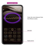 Pretty Love - Hector Electroshock Vibrator Per App-Steuerung Lila