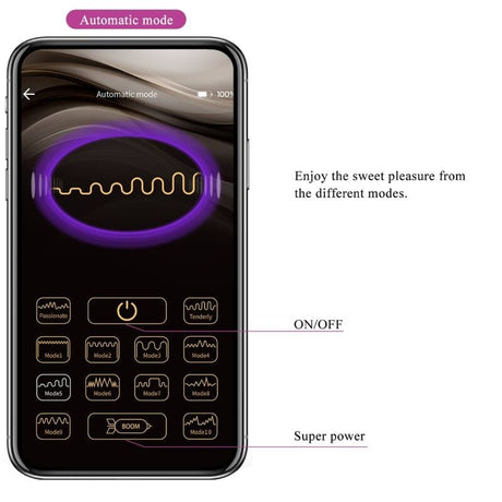 Vibrator Doreen Purple Wiederaufladbares Vibrations-Ei.14