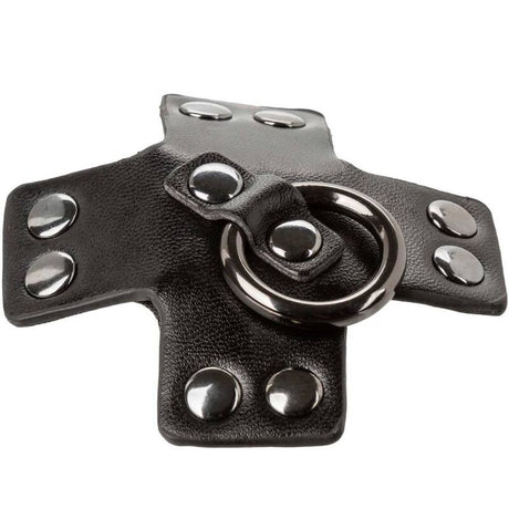 Calexotics - Euphoria O-Ring Schwarz