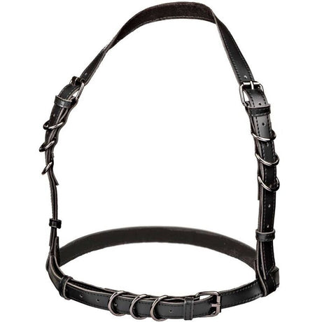 Calexotics - Euphoria Halfterschnallengeschirr Schwarz