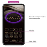 Pretty Love - Baird g-Spot 12 Vibrationen Wiederaufladbar Lila App