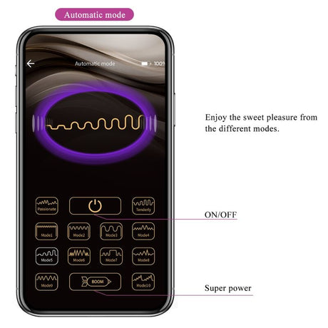 Vibrator Baird g-Spot 12 Vibrationen Wiederaufladbar Lila App.11