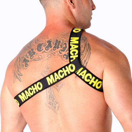 Harness Römisches Geschirr Gelb L/XL.2