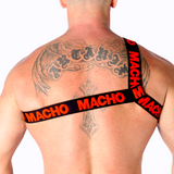 Macho - Römisches Geschirr Rot L/XL