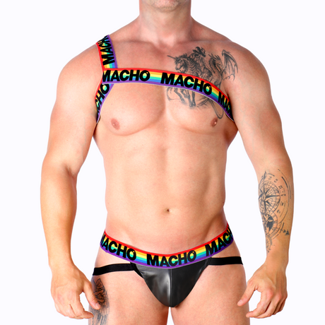 Harness Römisches Geschirr Pride S/M