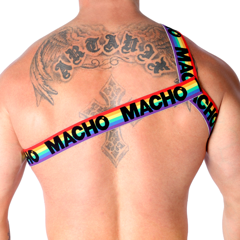 Macho - Römisches Geschirr Pride S/M