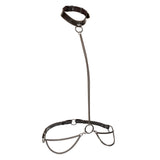 Calexotics - Euphoria Kettenhalfterhalsband und Leine