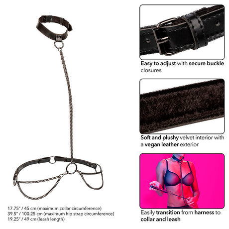 Calexotics - Euphoria Kettenhalfterhalsband und Leine