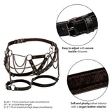 Calexotics - Euphoria Multichain Oberschenkelharness Premium