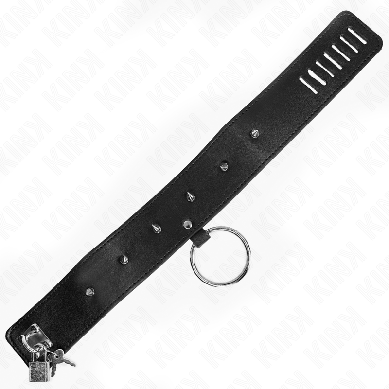 Kink - Halskette 65 cm mit Leine mit Silbernen Nieten Modell 2 Verstellbar 36-43 cm x 5 cm