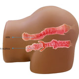 Crazy Bull - Geriann Realistischer Weiblicher Po-Vibrator und Sauger mit Ton 5,5 kg