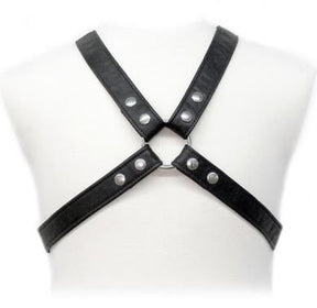Leather Body - Lasic Harness in Gewand