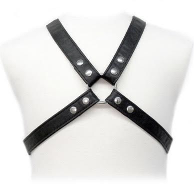Leather Body - Lasic Harness in Gewand