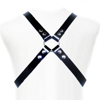 Harness Basic Harness