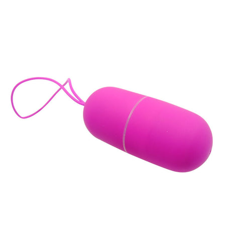Vibrator Arvin Vibrierendes Ei Fernbedienung 12v.2