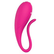 Auflegevibrator Coco -Klemmen