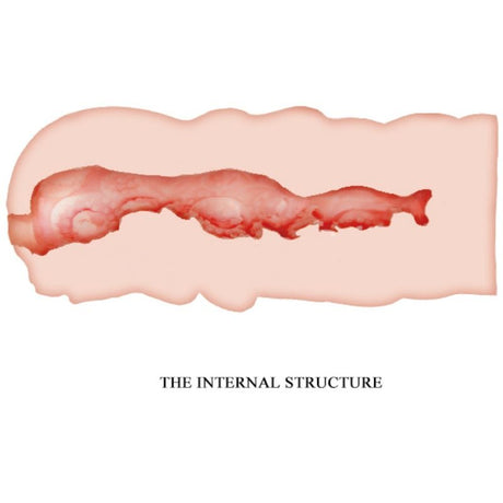 Masturbator Isabel Vagina 13,5 x 6 cm.3