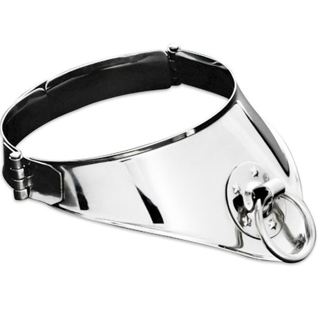 Halsband Festhaltungshalsband mit Ring und Vorhngeschloss