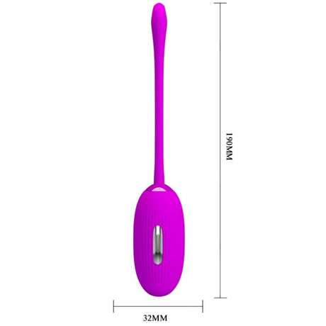 Vibrator Shock Spass Vibrierendes Ei und Elektroschock.2