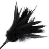 Darkness - Schwarze Federpeitsche