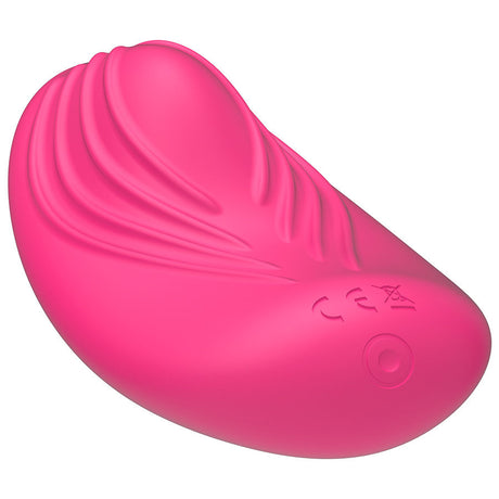 Vibrator Panty Vibe Fernbedienung 8 x 4 cm.2