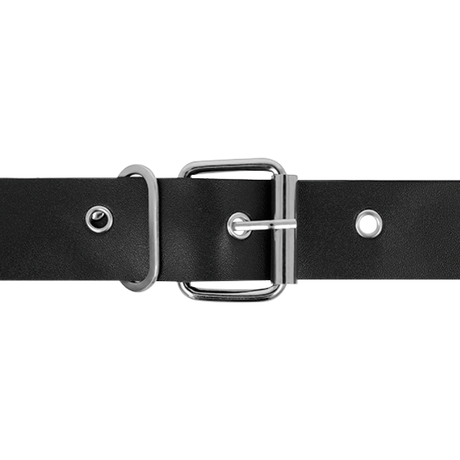 Harness Attraction - Rnes Taylor Deluxe 18 cm-x-4.5 cm