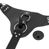 Harness Attraction - Rnes Taylor Deluxe 18 cm-x-4.5 cm