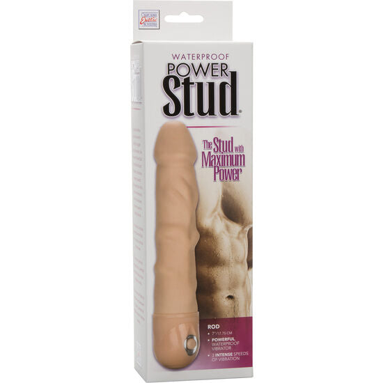 Calexotics - Power Stud Rod Hautvibrator