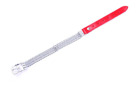 Kettenhalsband Steel Rot