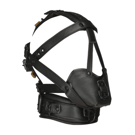 Kopf-Harness Master Series mit Maulkorb Leder Schwarz in zwei Ausführungen – Ansicht 5