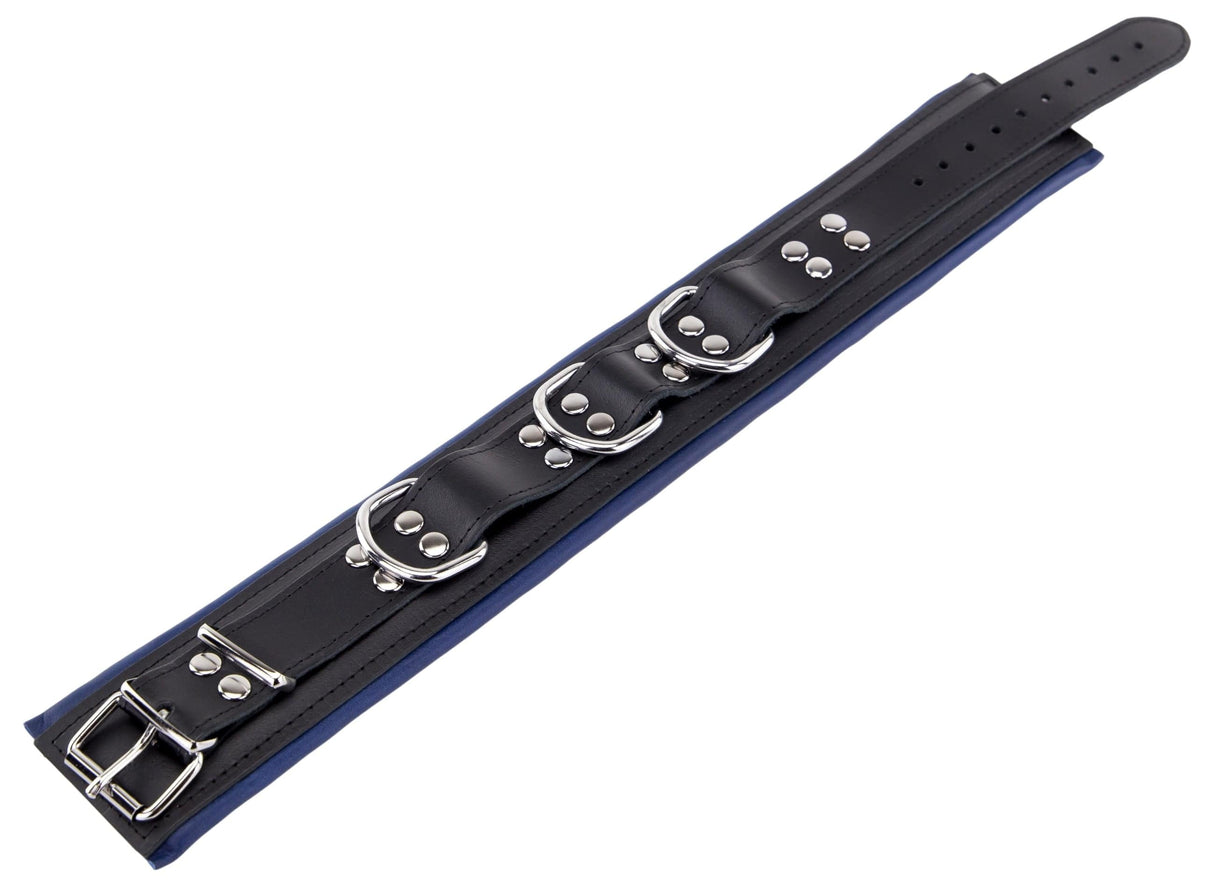 Lederhalsband gepolstert