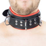 Lederhalsband gepolstert