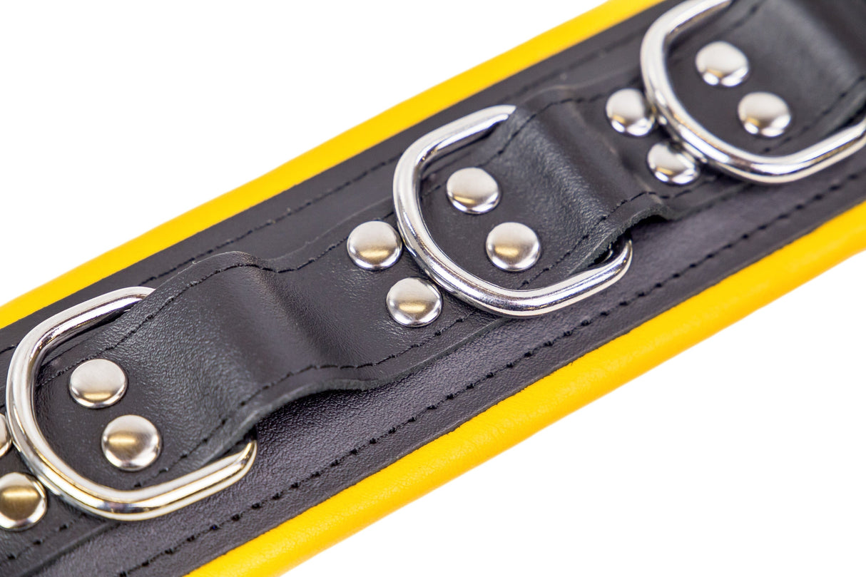 Lederhalsband gepolstert