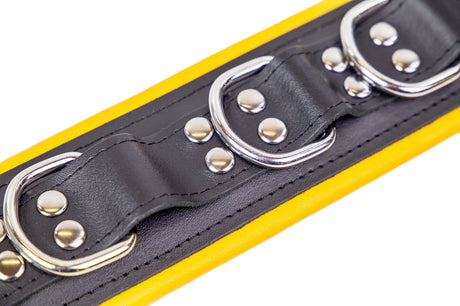 Lederhalsband gepolstert