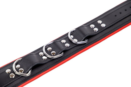 Lederhalsband gepolstert