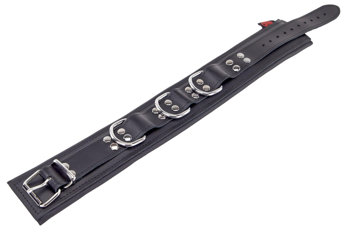 Lederhalsband gepolstert